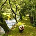 【長女気質さんのための】ライフコーチさき